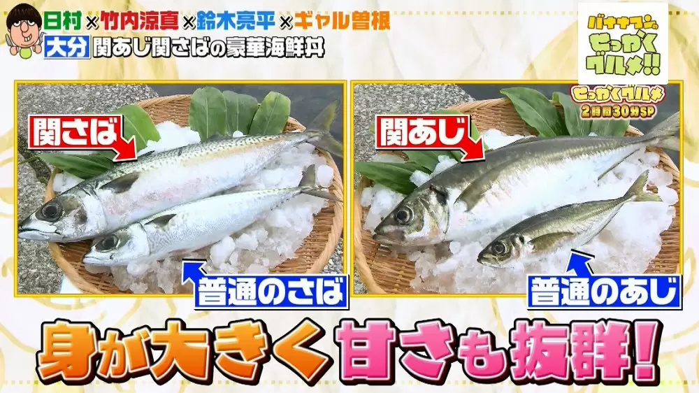 関あじと関さば