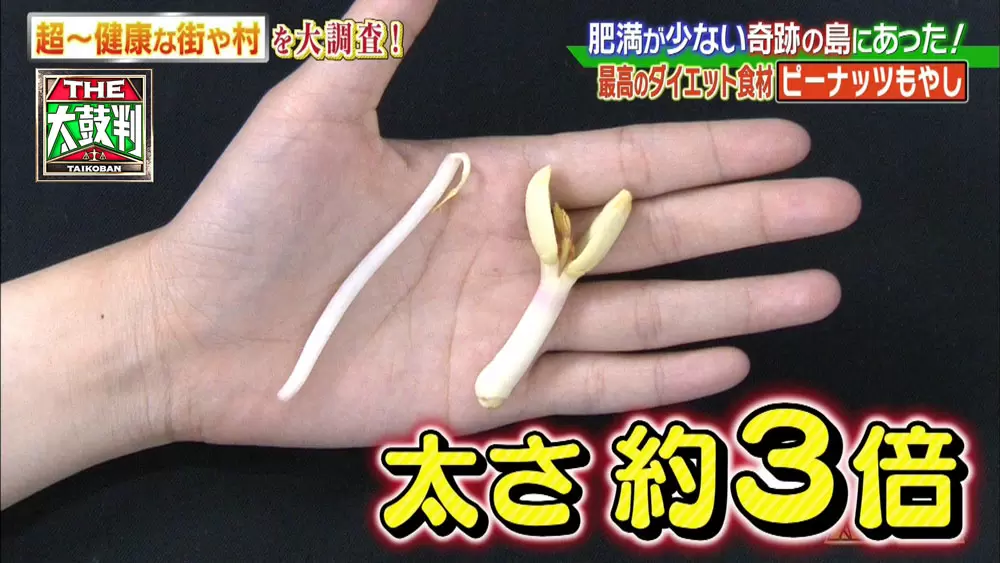 肥満が少ない島で発見 最高のダイエット食材 ピーナッツもやし って 名医のthe太鼓判 Tbsテレビ