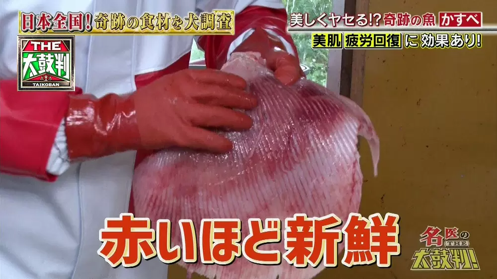 美しく痩せられる 奇跡の魚 かすべ って知ってる 名医のthe太鼓判 Tbsテレビ 美しく痩せられる 奇跡の魚 かすべ って知ってる 名医のthe太鼓判 Tbsテレビ