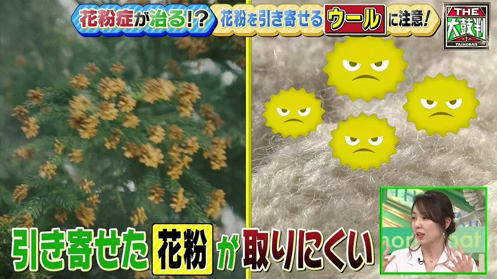 本当はいけない花粉症対策 目の水洗い や 鼻のティッシュ詰め はキケン 名医のthe太鼓判 Tbsテレビ