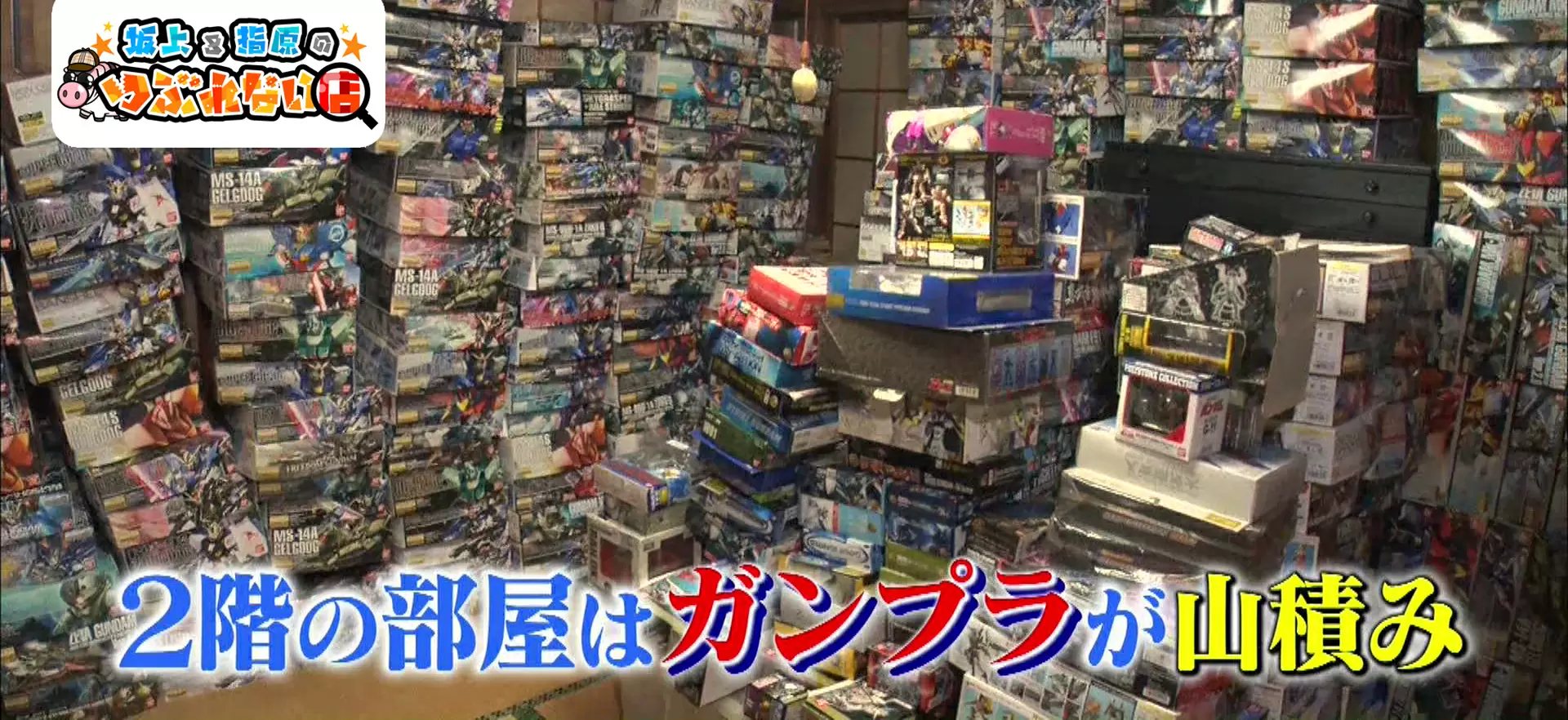 街のプラモデル屋がなぜつぶれないのか Tbsテレビ