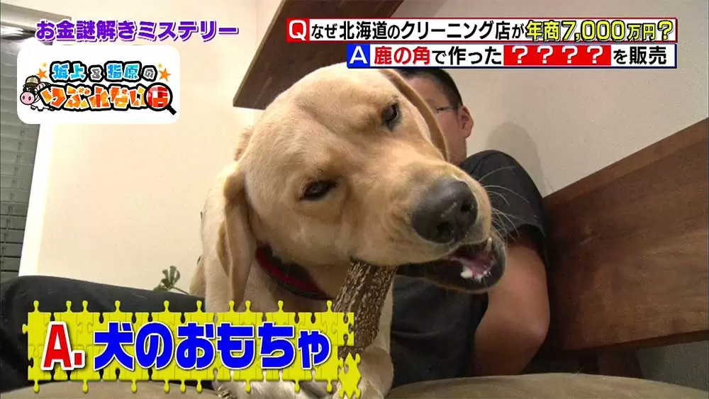 一般店の17倍 田舎のとあるクリーニング店が年商7 000万円を叩きだす秘密は Tbsテレビ