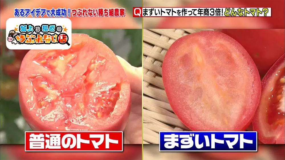 まずいトマト で年商が3倍に 勝ち組農家は目の付け所がスゴイ 坂上 指原のつぶれない店 Tbsテレビ