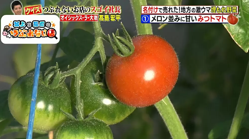 売れない野菜が新ネームで大ヒット商品に Oisixの名付けセンスがスゴイ 坂上 指原のつぶれない店 Tbsテレビ 売れない野菜が新ネームで大ヒット商品に Oisixの名付けセンスがスゴイ 坂上 指原のつぶれない店 Tbsテレビ