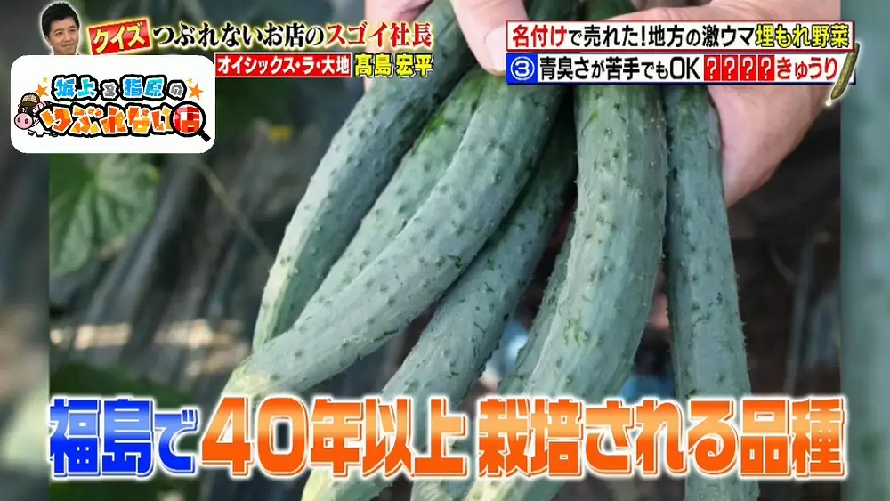 福島県郡山市で育てられている“白い粉のついたきゅうり”