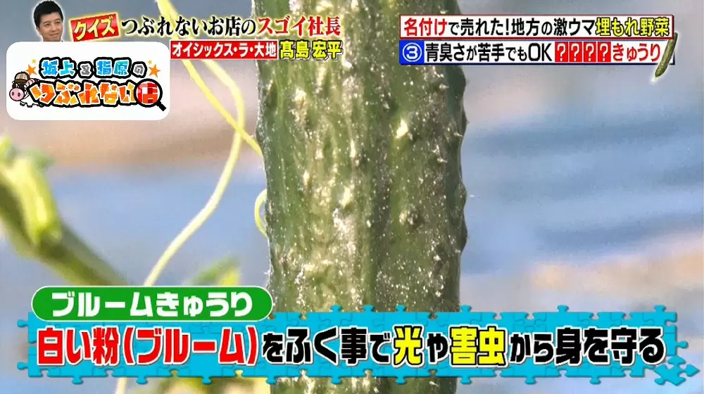 「ブルーム」と呼ばれる白い粉
