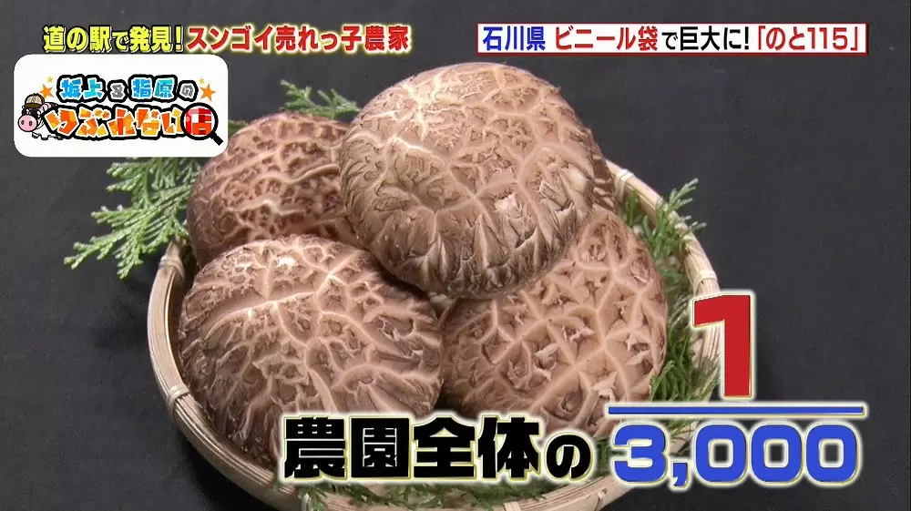 しいたけページ 198764d818c937f90ef3407c163611