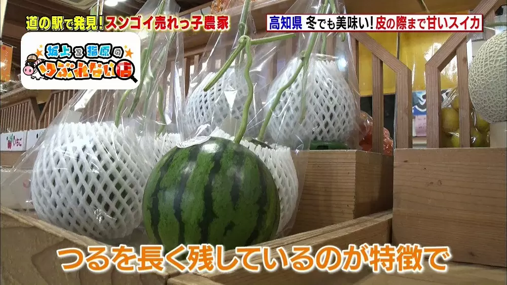 冬でも味わえる驚くほど甘いスイカがあった 坂上 指原のつぶれない店 Tbsテレビ