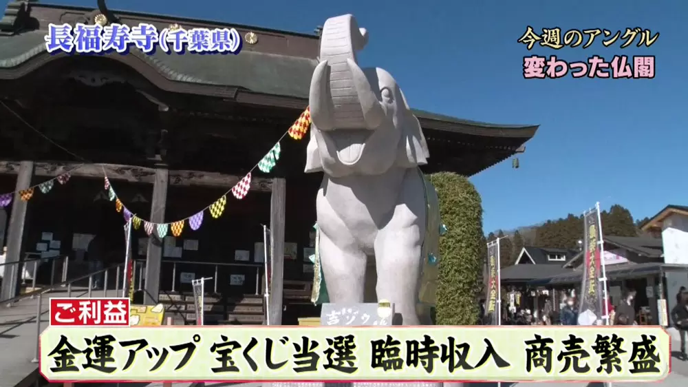 ゾウを撫でて宝くじに当選 変わったお寺 神社2つ Tbsテレビ ゾウを撫でて宝くじに当選 変わったお寺 神社2つ Tbsテレビ