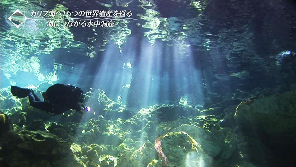 神秘 水の中じゃないみたい 地下水の泉 セノーテの絶景 Tbsテレビ