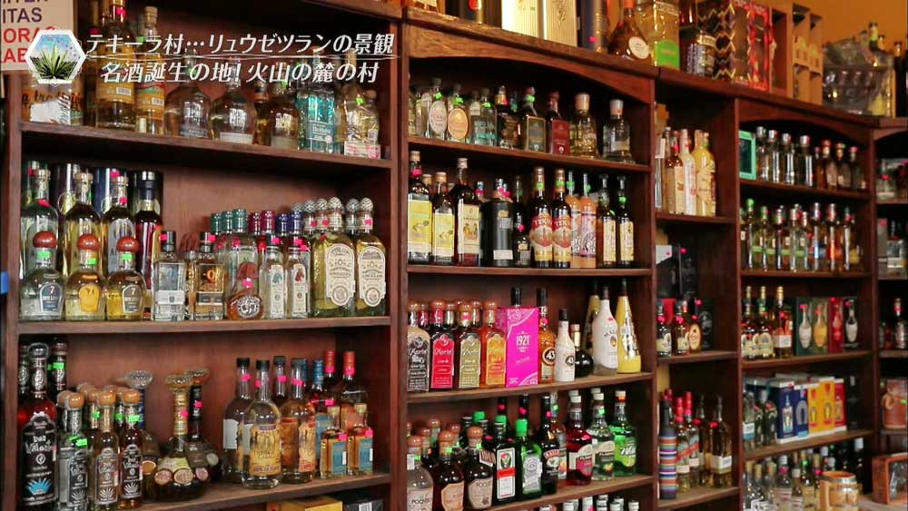知っているとカッコいい テキーラ の深い話 Tbsテレビ 知っているとカッコいい テキーラ の深い話 Tbsテレビ