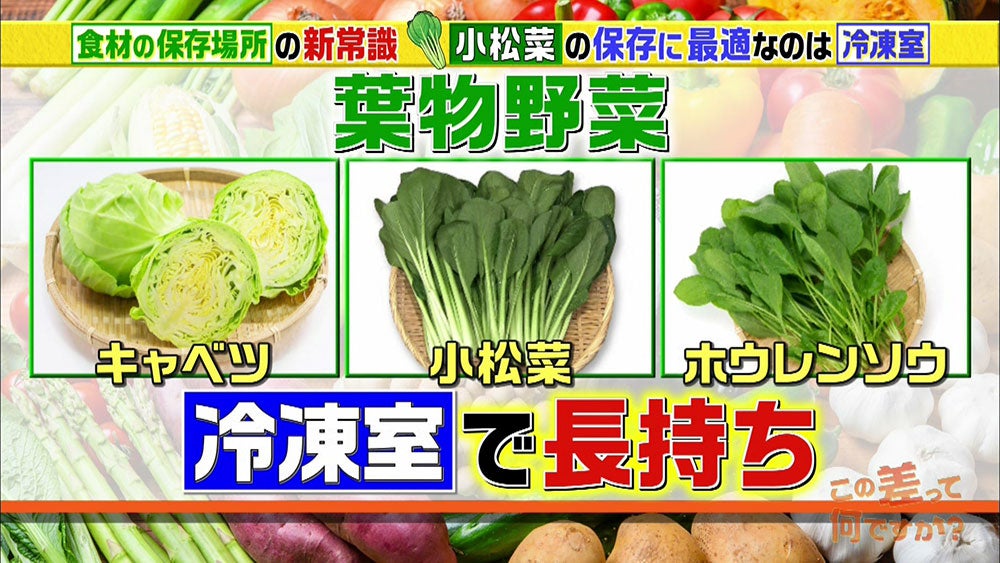 トマトは常温 葉物は 野菜の栄養効果を高める意外な 保存方法 この差って何ですか Tbsテレビ トマトは常温 葉物は 野菜の栄養効果を高める意外な 保存方法 この差って何ですか Tbsテレビ