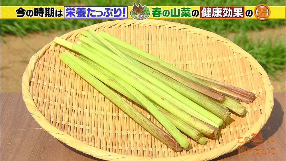 春の山菜 が疲労 プチ太り 花粉症に効く おすすめの食べ方もご紹介 この差って何ですか Tbsテレビ 春の山菜 が疲労 プチ太り 花粉症に効く おすすめの食べ方もご紹介 この差って何ですか Tbsテレビ