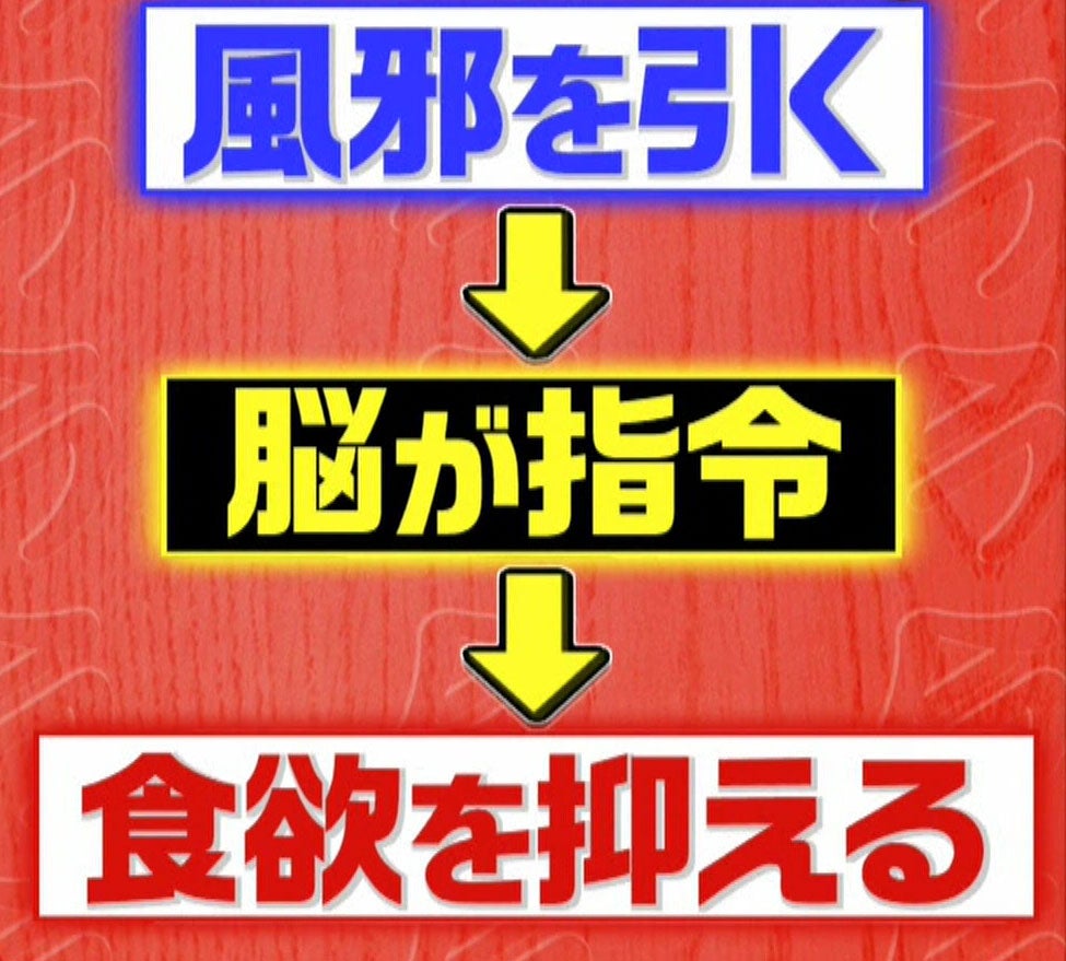 風邪対策の新常識 食べないと治らない はホント この差って何ですか Tbsテレビ 風邪対策の新常識 食べないと治らない はホント この差って何ですか Tbsテレビ