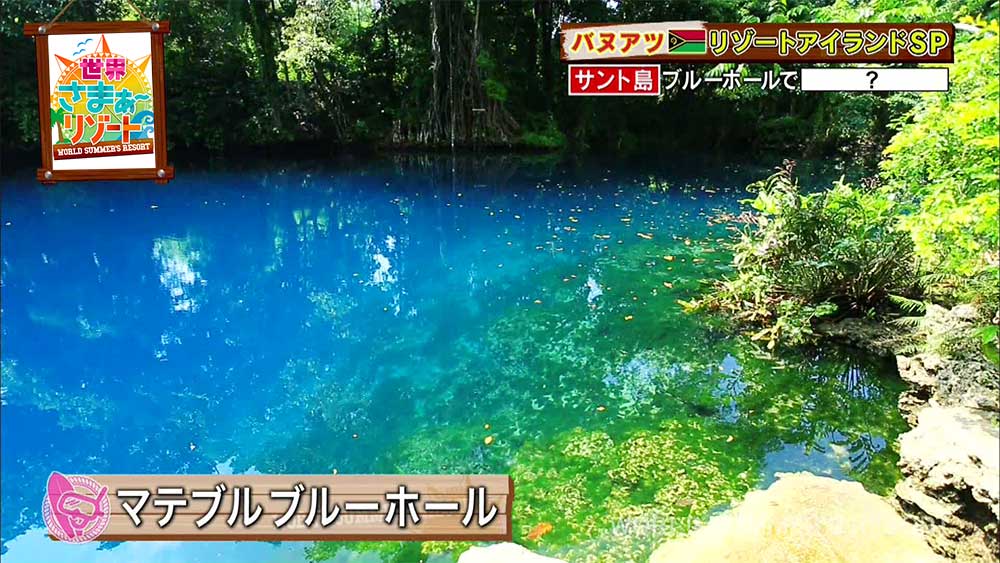 話題沸騰 美しすぎるブルーの絶景の ターザンダイブ って何 世界さまぁ リゾート Tbsテレビ 話題沸騰 美しすぎるブルーの絶景の ターザンダイブ って何 世界さまぁ リゾート Tbsテレビ