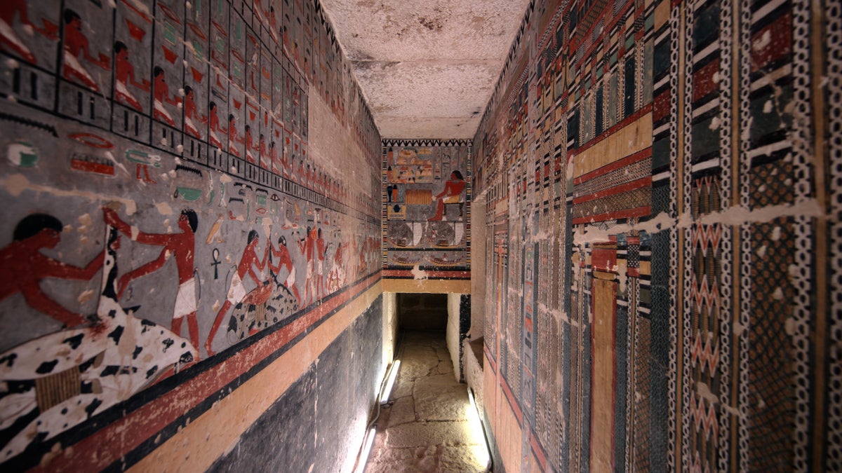 メンフィスとその墓地遺跡」日本初撮影!4300年前の壁画 高精細8Kカメラ