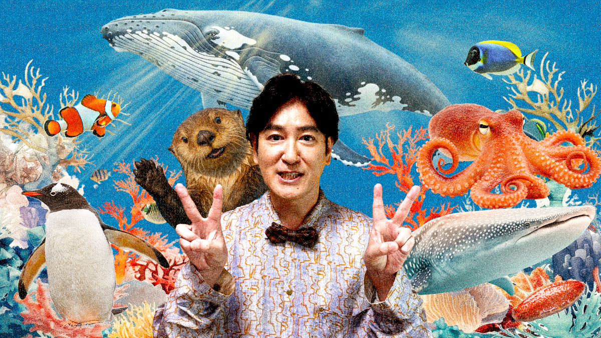 ６