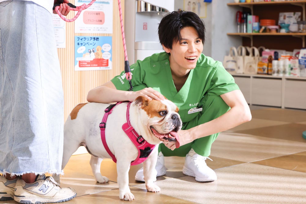 初戀DOGs(初恋DOGs) 初戀DOGs(初恋DOGs)
